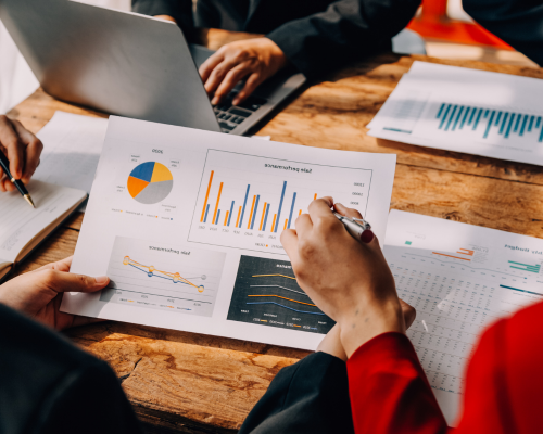 Portfolio Review & Monitoring